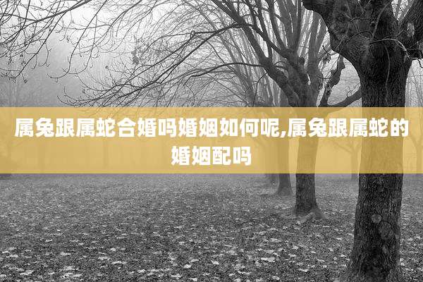 属兔跟属蛇合婚吗婚姻如何呢,属兔跟属蛇的婚姻配吗