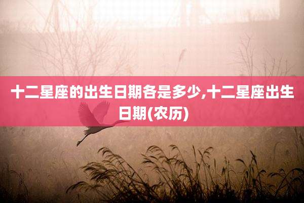 十二星座的出生日期各是多少,十二星座出生日期(农历)