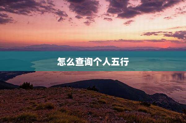怎么查询个人五行