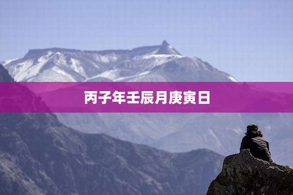 丙子年壬辰月庚寅日