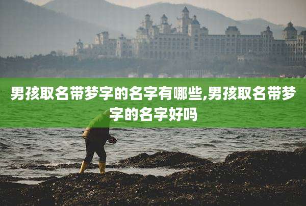 男孩取名带梦字的名字有哪些,男孩取名带梦字的名字好吗