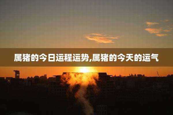 属猪的今日运程运势,属猪的今天的运气