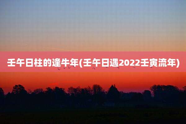 壬午日柱的逢牛年(壬午日遇2022壬寅流年)