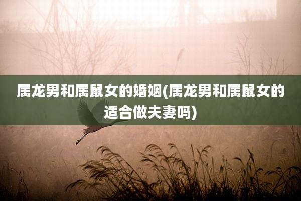 属龙男和属鼠女的婚姻(属龙男和属鼠女的适合做夫妻吗)