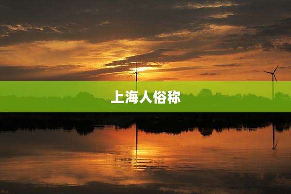 上海人俗称
