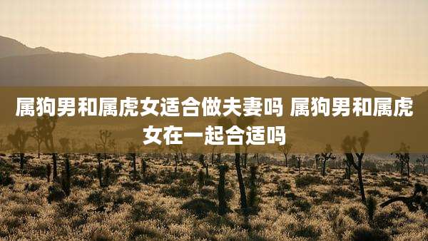 属狗男和属虎女适合做夫妻吗 属狗男和属虎女在一起合适吗