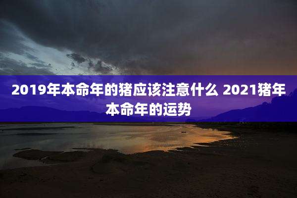 2019年本命年的猪应该注意什么 2021猪年本命年的运势
