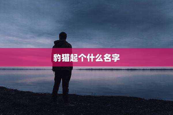 豹猫起个什么名字
