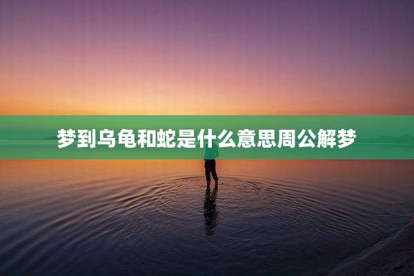 梦到乌龟和蛇是什么意思周公解梦