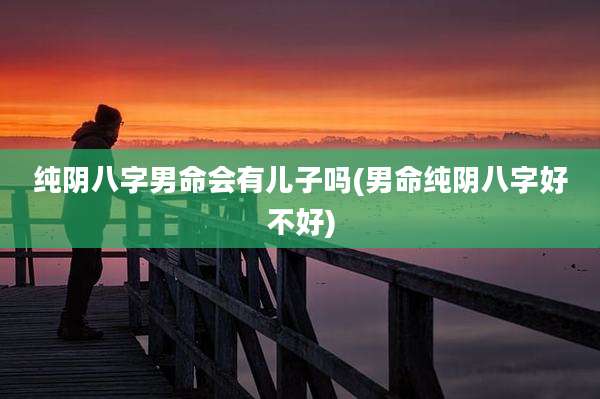 纯阴八字男命会有儿子吗(男命纯阴八字好不好)
