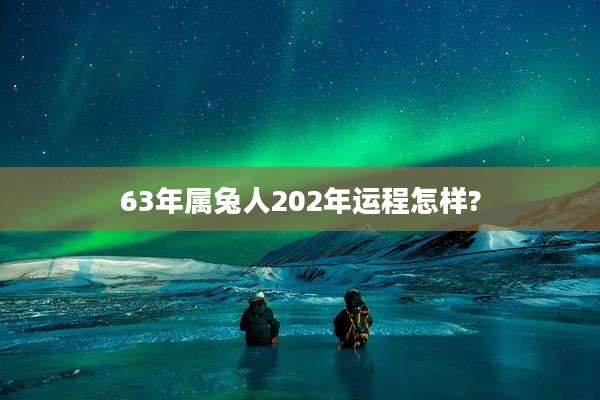 63年属兔人202年运程怎样?