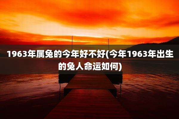 1963年属兔的今年好不好(今年1963年出生的兔人命运如何)