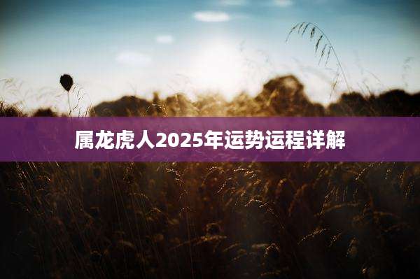 属龙虎人2025年运势运程详解