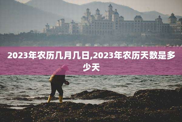 2023年农历几月几日,2023年农历天数是多少天