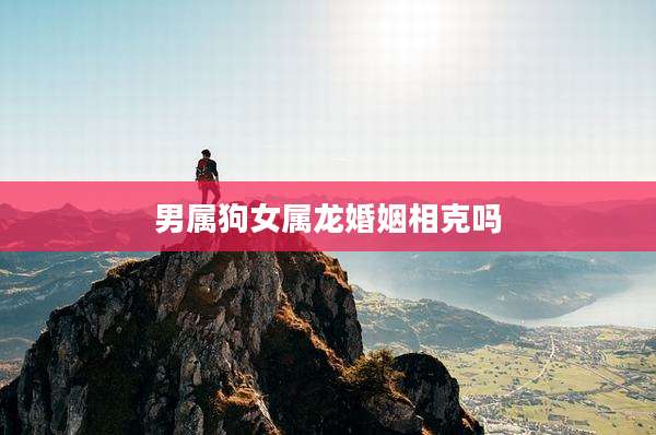 男属狗女属龙婚姻相克吗