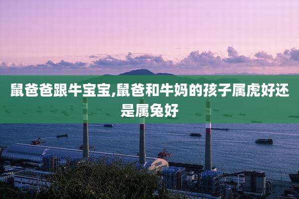 鼠爸爸跟牛宝宝,鼠爸和牛妈的孩子属虎好还是属兔好