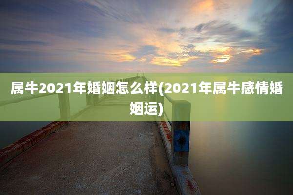 属牛2021年婚姻怎么样(2021年属牛感情婚姻运)