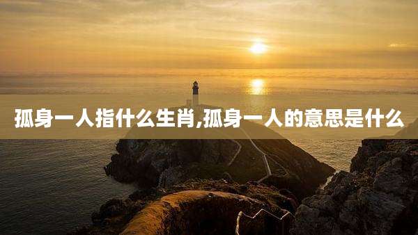孤身一人指什么生肖,孤身一人的意思是什么
