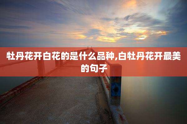 牡丹花开白花的是什么品种,白牡丹花开最美的句子
