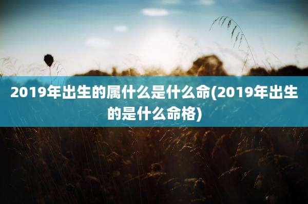 2019年出生的属什么是什么命(2019年出生的是什么命格)