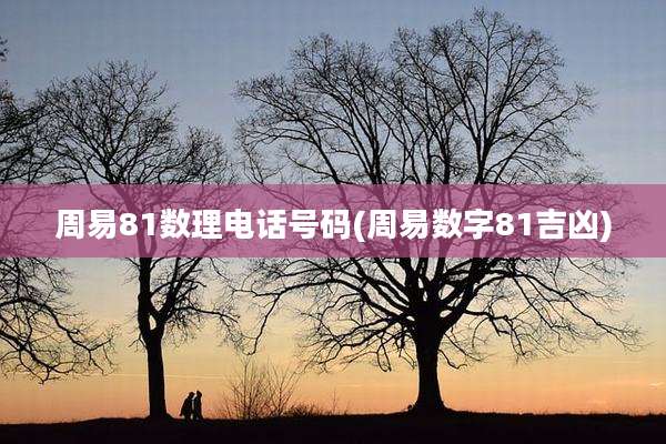 周易81数理电话号码(周易数字81吉凶)