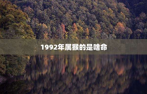 1992年属猴的是啥命