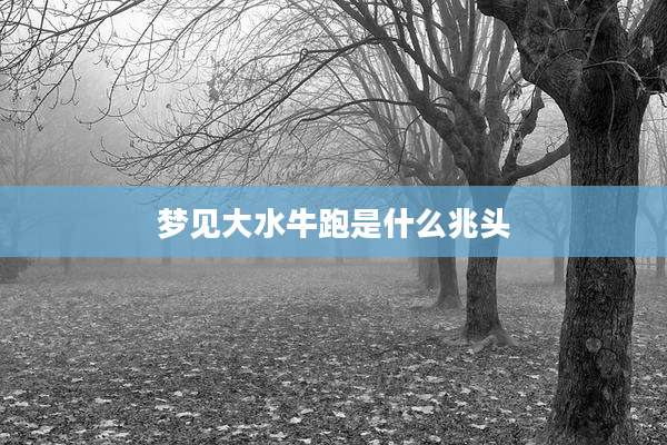 梦见大水牛跑是什么兆头