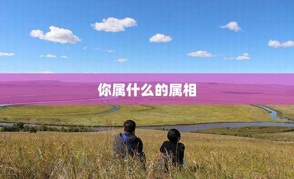 你属什么的属相