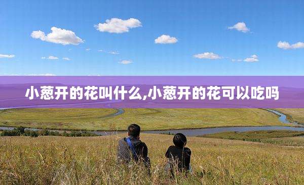 小葱开的花叫什么,小葱开的花可以吃吗