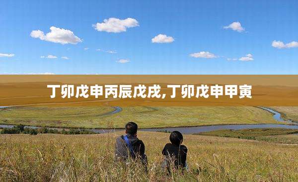 丁卯戊申丙辰戊戌,丁卯戊申甲寅