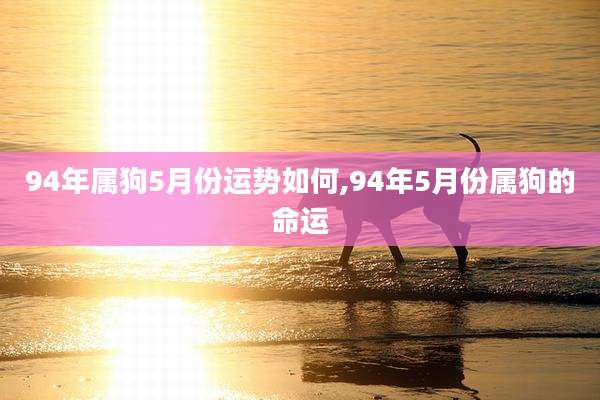 94年属狗5月份运势如何,94年5月份属狗的命运