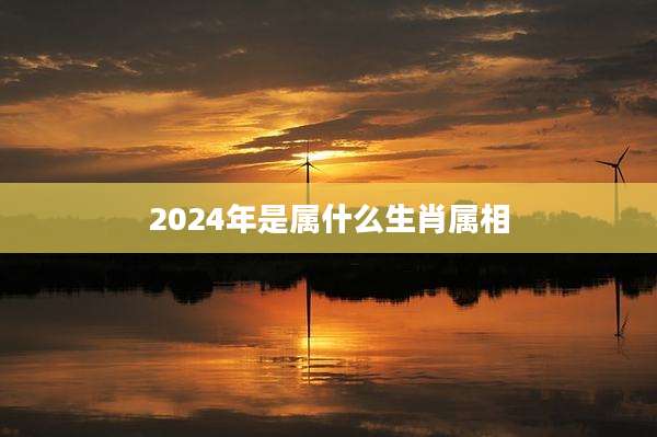2024年是属什么生肖属相