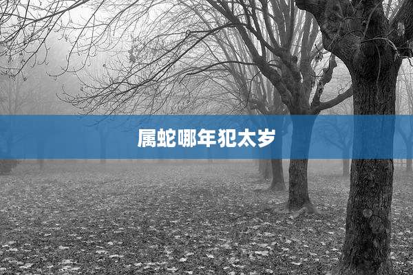 属蛇哪年犯太岁
