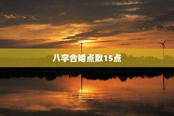 八字合婚点数15点