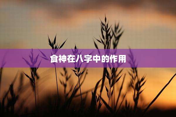 食神在八字中的作用