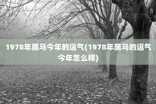 1978年属马今年的运气(1978年属马的运气今年怎么样)