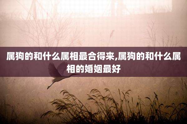 属狗的和什么属相最合得来,属狗的和什么属相的婚姻最好
