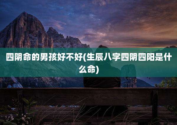 四阴命的男孩好不好(生辰八字四阴四阳是什么命)