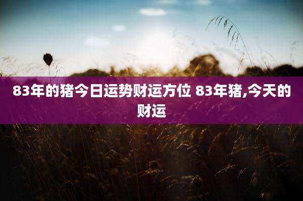 83年的猪今日运势财运方位 83年猪,今天的财运