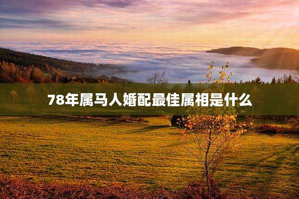 78年属马人婚配最佳属相是什么