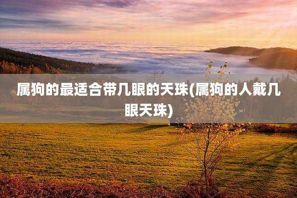 属狗的最适合带几眼的天珠(属狗的人戴几眼天珠)