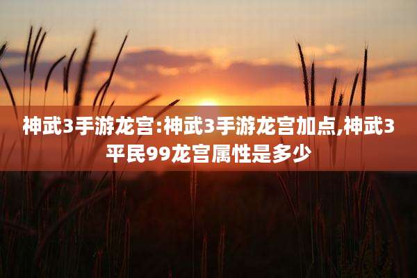 神武3手游龙宫:神武3手游龙宫加点,神武3平民99龙宫属性是多少
