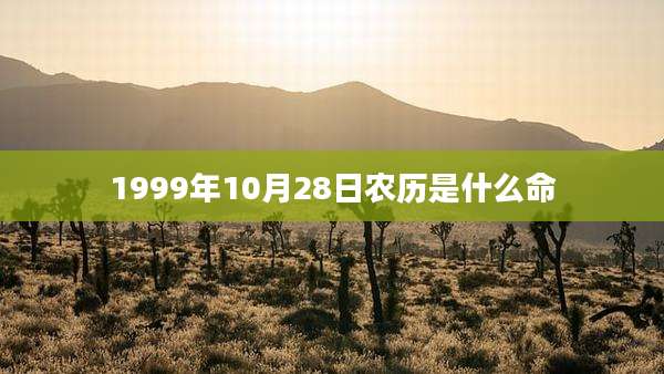 1999年10月28日农历是什么命