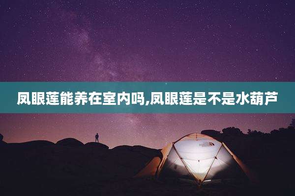 凤眼莲能养在室内吗,凤眼莲是不是水葫芦