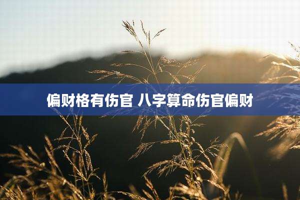 偏财格有伤官 八字算命伤官偏财