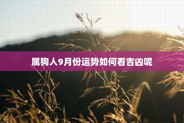 属狗人9月份运势如何看吉凶呢
