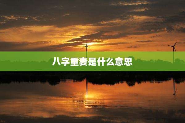 八字重妻是什么意思