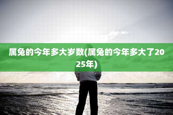 属兔的今年多大岁数(属兔的今年多大了2025年)