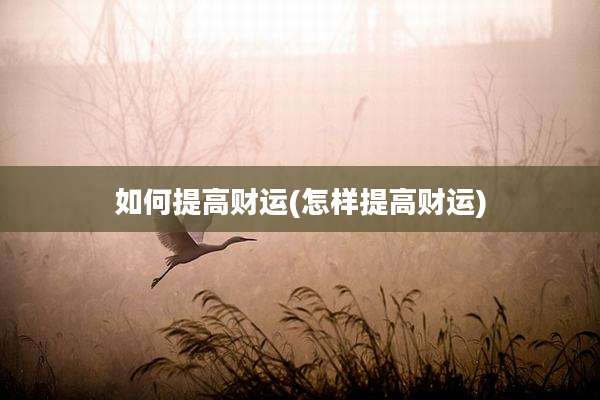 如何提高财运(怎样提高财运)