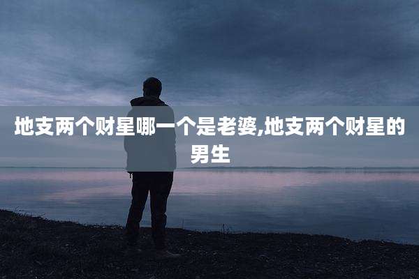 地支两个财星哪一个是老婆,地支两个财星的男生